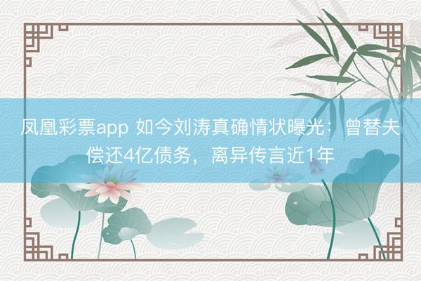 凤凰彩票app 如今刘涛真确情状曝光：曾替夫偿还4亿债务，离异传言近1年