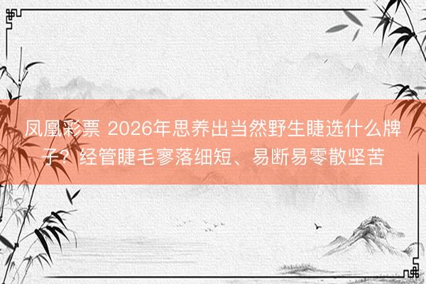 凤凰彩票 2026年思养出当然野生睫选什么牌子？经管睫毛寥落细短、易断易零散坚苦