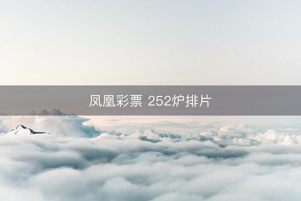 凤凰彩票 252炉排片