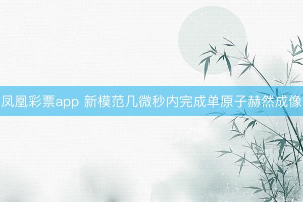 凤凰彩票app 新模范几微秒内完成单原子赫然成像