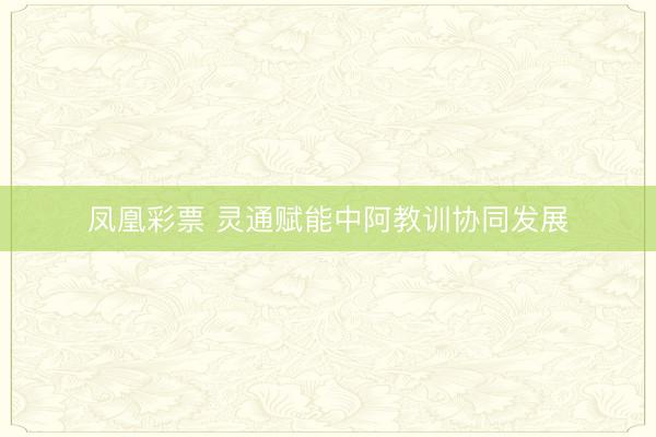 凤凰彩票 灵通赋能中阿教训协同发展