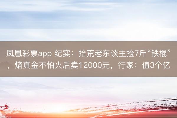 凤凰彩票app 纪实：拾荒老东谈主捡7斤“铁棍”，熔真金不怕火后卖12000元，行家：值3个亿