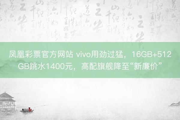 凤凰彩票官方网站 vivo用劲过猛，16GB+512GB跳水1400元，高配旗舰降至“新廉价”